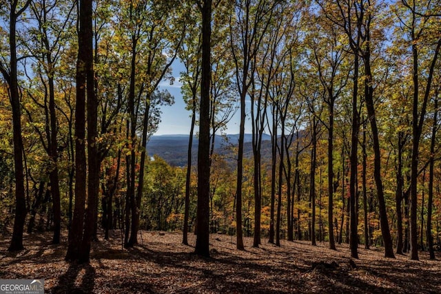 40.5AC Windsong, Jasper, GA 30143