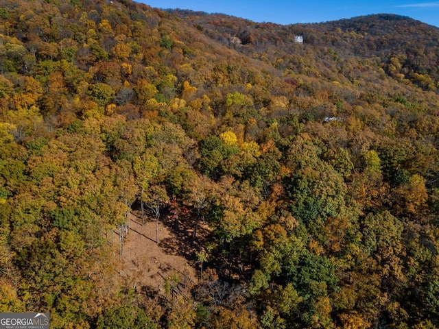 40.5AC Windsong, Jasper, GA 30143