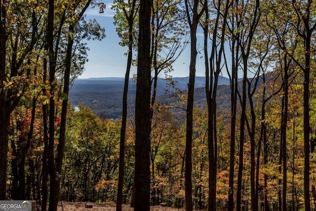 40.5AC Windsong, Jasper, GA 30143