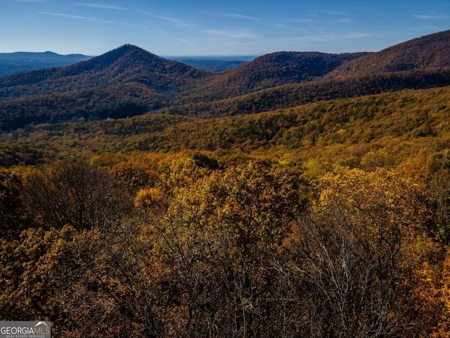 40.5AC Windsong, Jasper, GA 30143