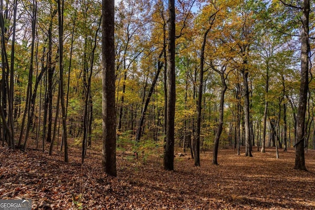 40.5AC Windsong, Jasper, GA 30143