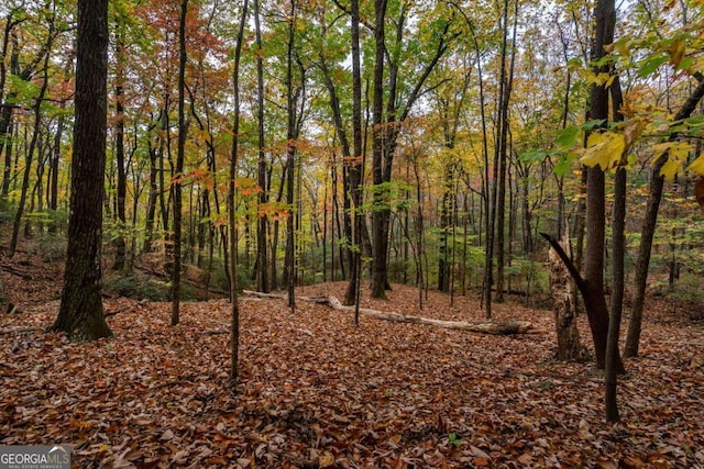 40.5AC Windsong, Jasper, GA 30143