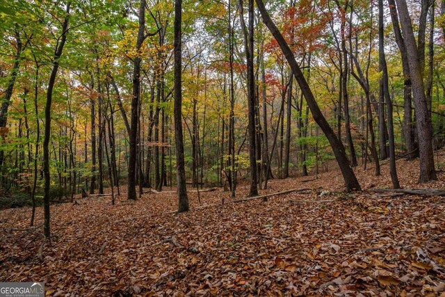 40.5AC Windsong, Jasper, GA 30143