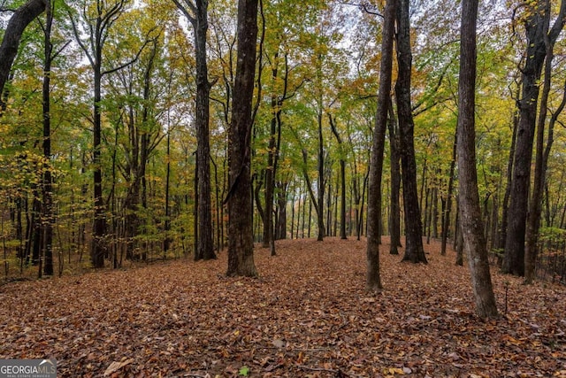 40.5AC Windsong, Jasper, GA 30143