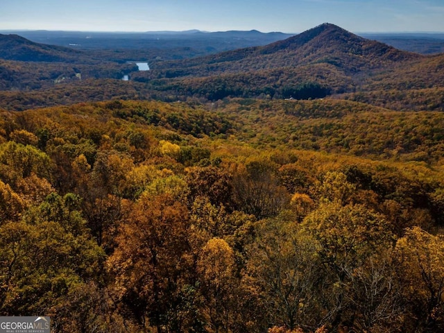 40.5AC Windsong, Jasper, GA 30143