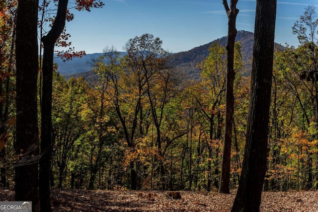 40.5AC Windsong, Jasper, GA 30143