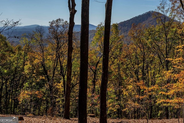 40.5AC Windsong, Jasper, GA 30143
