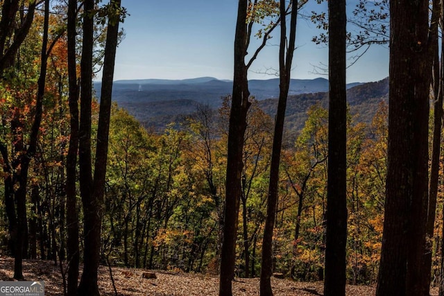 40.5AC Windsong, Jasper, GA 30143