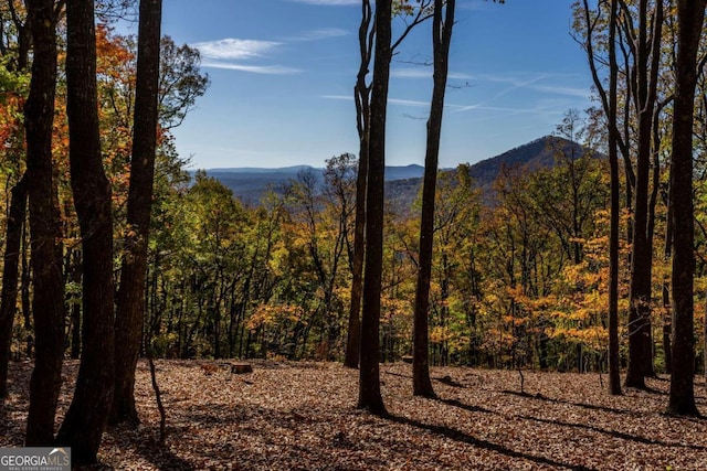 40.5AC Windsong, Jasper, GA 30143