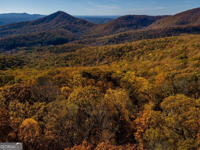 40.5AC Windsong, Jasper, GA 30143