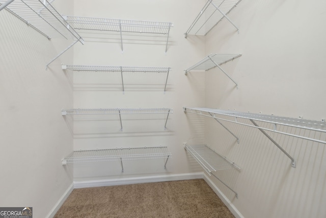 spacious closet with carpet