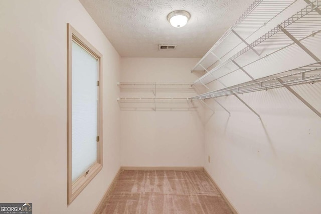 walk in closet with carpet floors