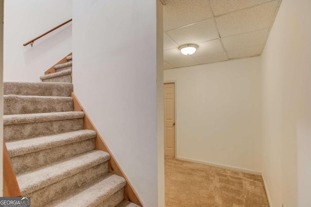 stairs featuring carpet flooring and a paneled ceiling