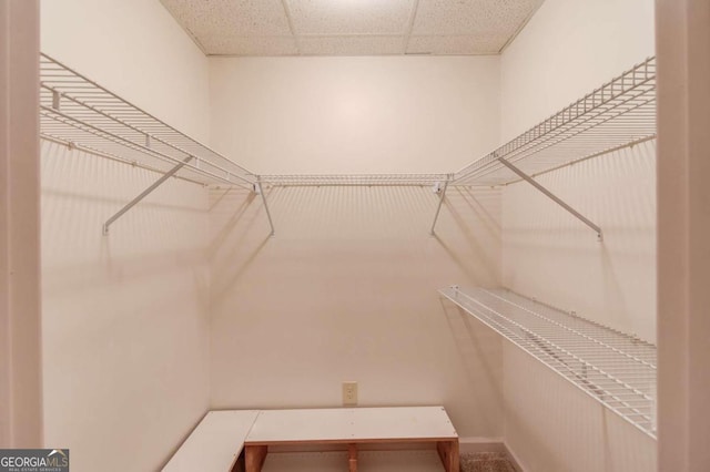 spacious closet featuring a paneled ceiling