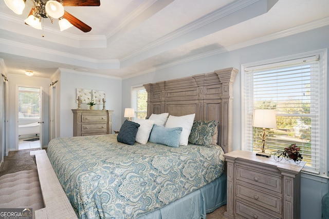 bedroom featuring carpet, ceiling fan, crown molding, and a tray ceiling