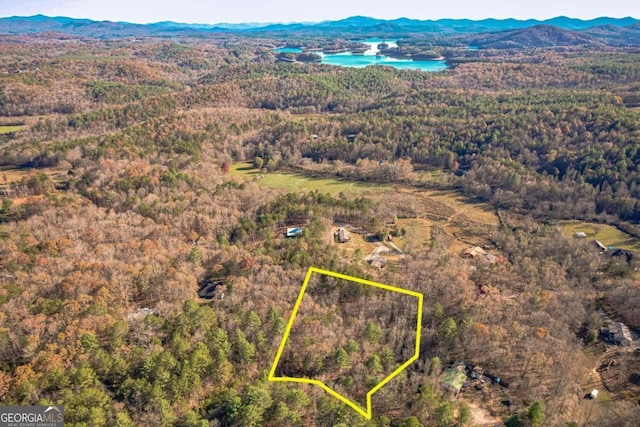 0 Pine Woods Dr, Blairsville GA, 30512 land for sale