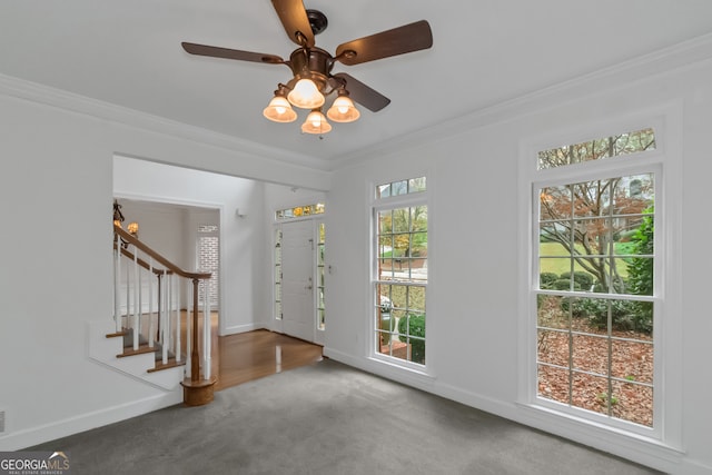 entryway featuring carpet, ceiling fan, and crown molding