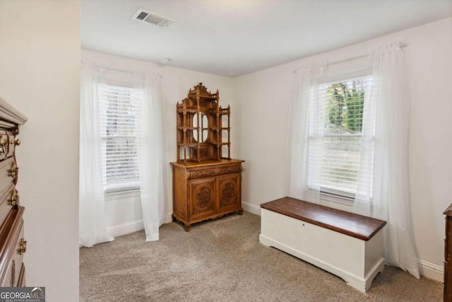 miscellaneous room featuring light colored carpet