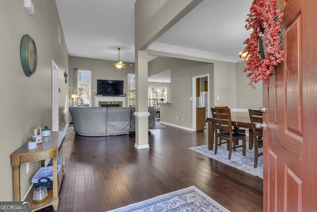 living room featuring ceiling fan and dark hardwood / wood-style flooring