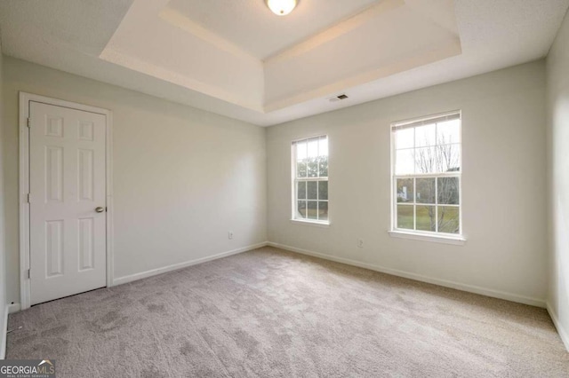 carpeted spare room featuring a raised ceiling