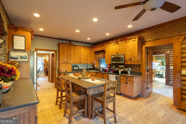 kitchen with stainless steel appliances, light hardwood / wood-style flooring, and plenty of natural light