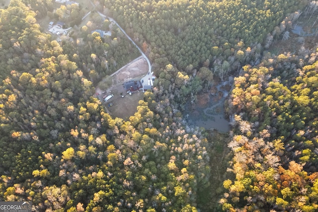 bird's eye view