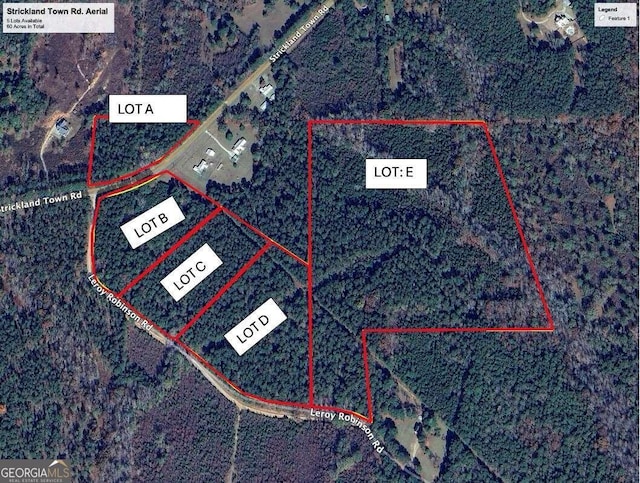 0 Strickland Town Rd Unit 5, Luthersville GA, 30251 land for sale