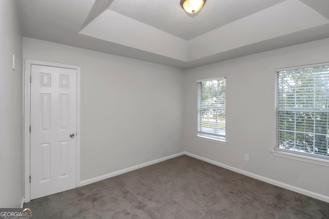 carpeted spare room featuring a raised ceiling