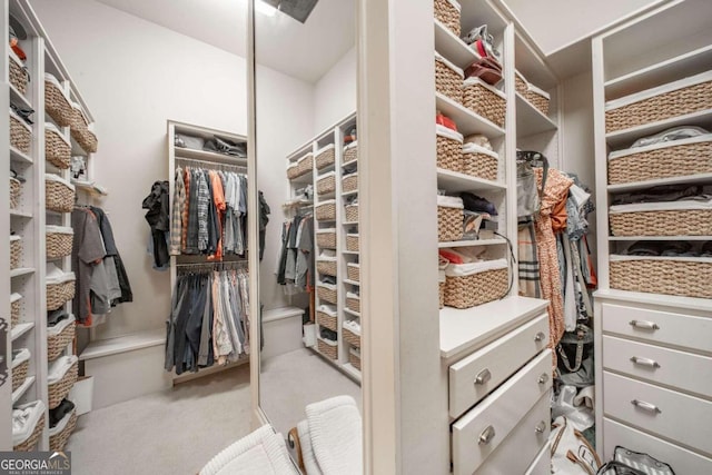 spacious closet featuring light colored carpet