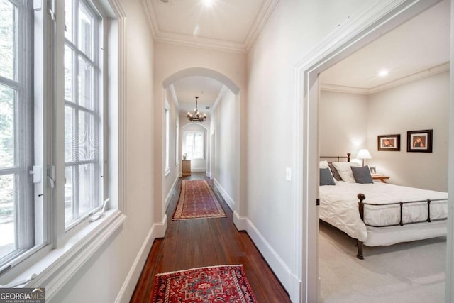 hall featuring a notable chandelier, dark hardwood / wood-style floors, a healthy amount of sunlight, and crown molding