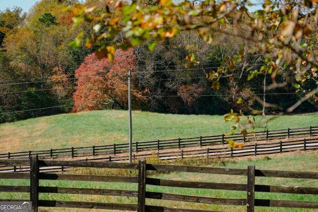 view of yard with a rural view