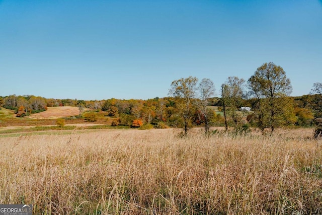 view of landscape featuring a rural view