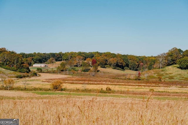 view of local wilderness featuring a rural view