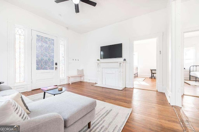 living room featuring ceiling fan and hardwood / wood-style flooring