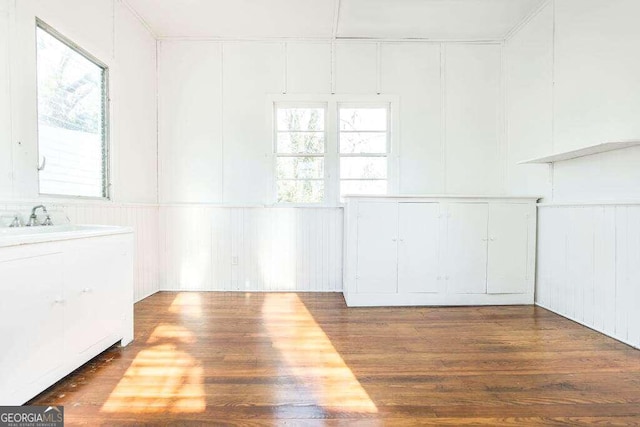 empty room with dark hardwood / wood-style flooring and sink