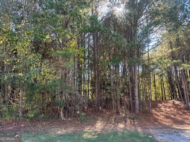 Listing photo 3 for 2100 Adel Rd, Conyers GA 30013