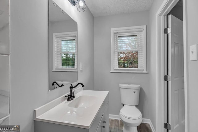 bathroom featuring vanity, hardwood / wood-style flooring, a textured ceiling, and toilet