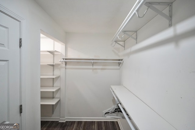 spacious closet with dark hardwood / wood-style flooring