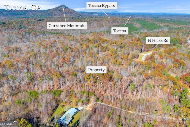 LOT12 N Hicks Rd, Toccoa GA, 30577 land for sale