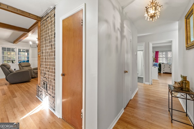 corridor with wood-type flooring, an inviting chandelier, a healthy amount of sunlight, and beam ceiling