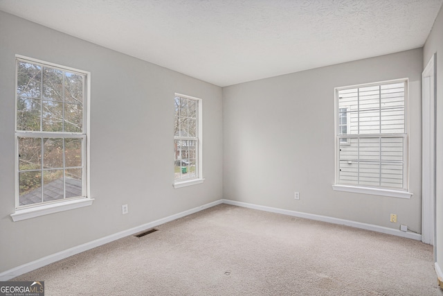 unfurnished room featuring carpet floors and a healthy amount of sunlight