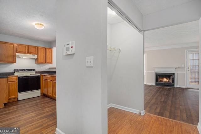 kitchen with white electric range oven, a textured ceiling, and dark wood-type flooring