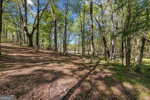 view of local wilderness