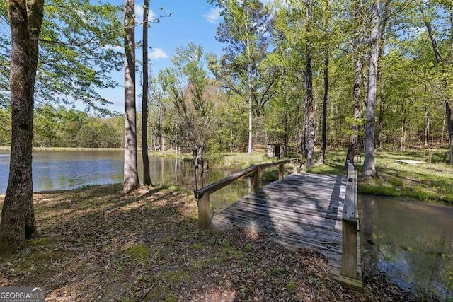 dock area with a water view