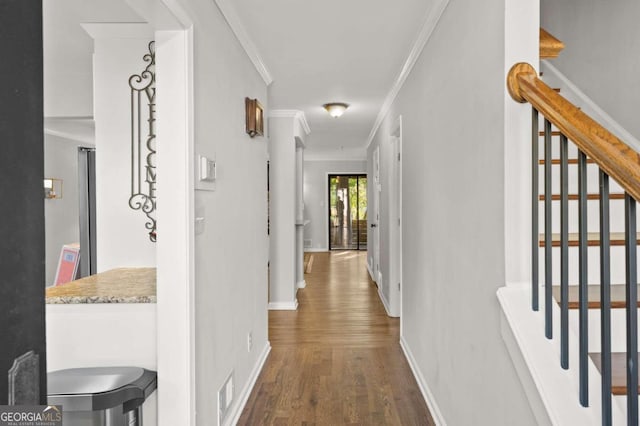 hallway featuring crown molding and dark hardwood / wood-style floors