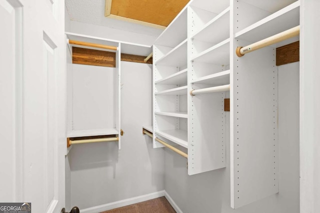 spacious closet with carpet floors