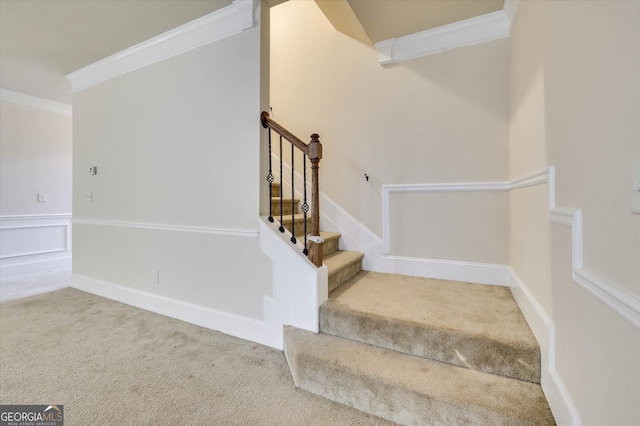 stairway with carpet and crown molding