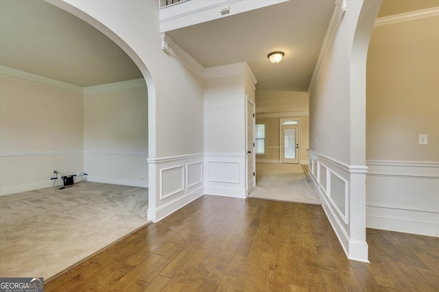 entrance foyer featuring carpet and ornamental molding