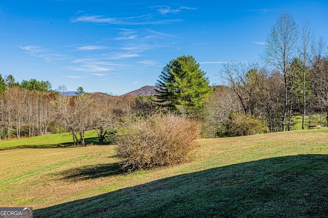 view of yard with a mountain view