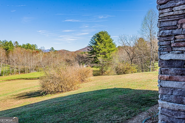 view of yard with a mountain view